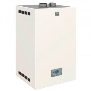 Газовый котел Лемакс Prime-V55HO настенный
